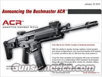 Bushmaster ACR-LE (Law Enforcement-Enhanced Configuration), Non-Reflective Black Finish  Bushmaster Rifles > Complete Rifles