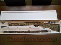 Inertia action Stoeger. Left-hand safety.  Benelli Shotguns > Sporting