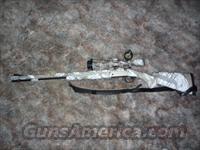 Pursuit LT  Muzzleloading Modern & Replica Rifles (perc) > Modern Inline