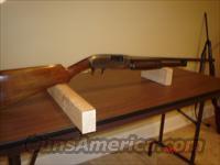 Winchester Model 12  Winchester Shotguns - Modern > Pump Action > Hunting