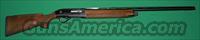 Beretta AL 391 Urika Trap, Used 98%  Beretta Shotguns > Autoloaders > Trap/Skeet