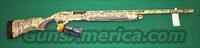Beretta AL 391 Xtrema 2   Beretta Shotguns > Autoloaders > Hunting
