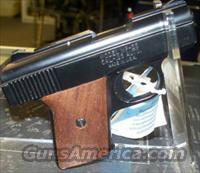 RAVEN ARMS MP-25 25AUTO  R Misc Pistols
