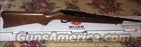 Ruger 10/22 Semi Automatic Rifle NIB  Ruger Rifles > 10-22