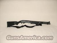 Remington 870 12 ga. with Surefire fore end and night sights  Remington Shotguns  > Pump > Tactical