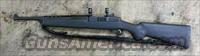 RUGER Mini-14 NRA Edition .223 Cal.  Ruger Rifles > Mini-14 Type
