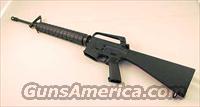 Colt M16A1  Class 3 Rifles > Class 3 Any Other Weapon