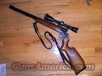 Thompson Center Encore   Thompson Center Muzzleloaders > Inline Style