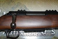 Thompson Center ICON .30TC Walnut 5526  Thompson Center Rifles > Icon