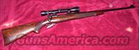 Pre 64 Model 70 250-3000  Winchester Rifles - Modern Bolt/Auto/Single > Model 70 > Pre-64