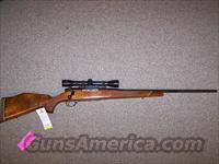 Weatherby Mark V 257 Magnum   Weatherby Rifles > Sporting