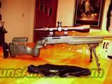 Remington 700 Tactical 308 Rifle  Remington Rifles - Modern > Model 700 > Tactical