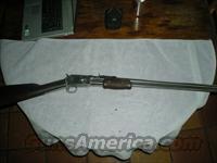 Tarus Thunderbolt 45colt  Taurus Rifles