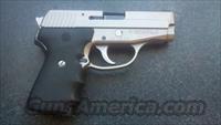 USED SIG SAUER P239 STAINLESS  Sig - Sauer/Sigarms Pistols > P239