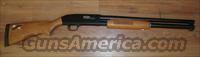 Mossberg 12 Ga. (Tactical/Home Defense)  Mossberg Shotguns > Pump > Tactical