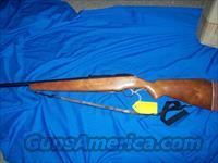 mossberg model 385KA bolt action 20 gauge  Mossberg Shotguns > Pump > Sporting