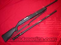 BERETTA  PIN TAIL  Beretta Shotguns > Autoloaders > Hunting