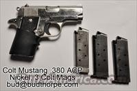 Colt Mustang 380 Nickel Used  Colt Automatic Pistols (.25, .32, & .380 cal)
