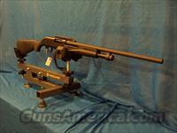 Escort Slug shotgun. 20 Gauge. 22" Rifled Barrel !   E Misc Shotguns