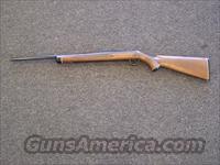 Daisy VL-22  D Misc Rifles