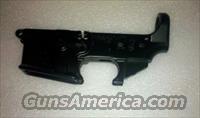 AR-15 Stripped Lower Receiver by DoubleStar  AR-15 Rifles - Small Manufacturers > Lower Only