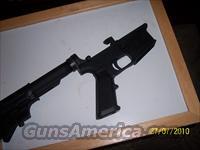 Plum Crazy AR15 Complete lower reciver  AR-15 Rifles - Small Manufacturers > Lower Only