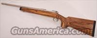 Savage Model 12 BVSS, .223 Remington  Savage Rifles > Standard Bolt Action > Sporting
