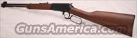 Henry Repeating Arms Lever Action, .22 LR  Henry Rifle Company