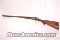American Gun SXS 12GA   American Arms Shotguns