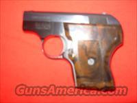 Escort 22  Smith & Wesson Pistols - Autos > .22 Autos