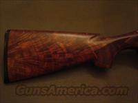 Benelli Super Black Eagle Limited Edition  Benelli Shotguns > Sporting