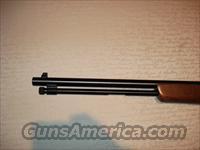 Winchester .22 Model 190  Winchester Rifles - Modern Bolt/Auto/Single > Autoloaders