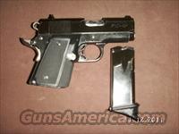 WARTHOG/P10-45  Guns > Pistols > Para Ordnance Pistols