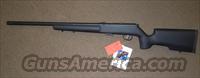 SAVAGE 93R17 TR 17HMR MAGAZINE FED BOLT RIFLE WITH TARGET STOCK, 22" BARREL, AND ACCUTRIGGER  Savage Rifles > Accutrigger Models > Tactical