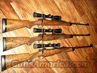 DAKOTA ARMS  Dakota Arms Rifles
