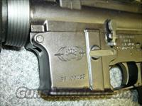 BLACKWATER  AR-15 Rifles - Small Manufacturers > Complete Rifle