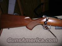 CZ American 17 HMR  CZ (Ceska ZBrojovka) Rifles