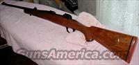 M89 SUPER GRADE .338 WM with SIGHTS  Kimber of Oregon Rifles
