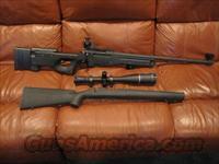 Remington 700 PSS   Remington Rifles - Modern > Model 700 > Tactical