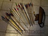 36 arrows with Quiver  Non-Guns > Archery > Arrows