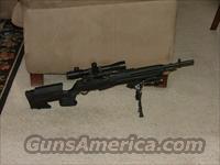 M1A Custom  Springfield Armory Rifles > M1A/M14