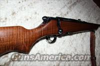 Savage 340B .222, Excellent Condition!!   Savage Rifles > Standard Bolt Action > Sporting
