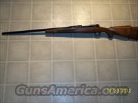 Like New Winchester Model 70 22-250  Winchester Rifles - Modern Bolt/Auto/Single > Model 70 > Post-64