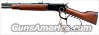 ROSSI 44 Mag 12 Large Loop Pistol RH9250121  Rossi Revolvers