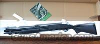 Remington 870P Model #24421  Remington Shotguns  > Pump > Tactical