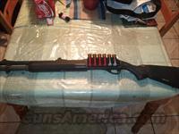 Remington 11-87 Police   Remington Shotguns  > Autoloaders > Tactical