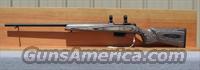 CZ 527 Varmint Laminate Bolt Action Rifle  CZ (Ceska ZBrojovka) Rifles