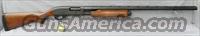 Remington 870 Express 12 Gauge Semi Auto Shotgun  Remington Shotguns  > Autoloaders > Hunting
