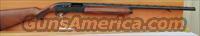 Remington Sportsman 12 Semi Auto  Remington Shotguns  > Autoloaders > Hunting
