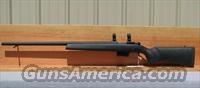 CZU 527 Varmit 204 Ruger  CZ (Ceska ZBrojovka) Rifles